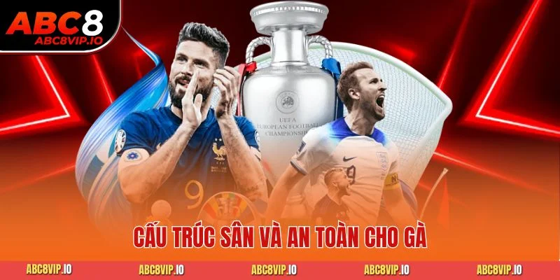 Cấu trúc sân và an toàn cho gà